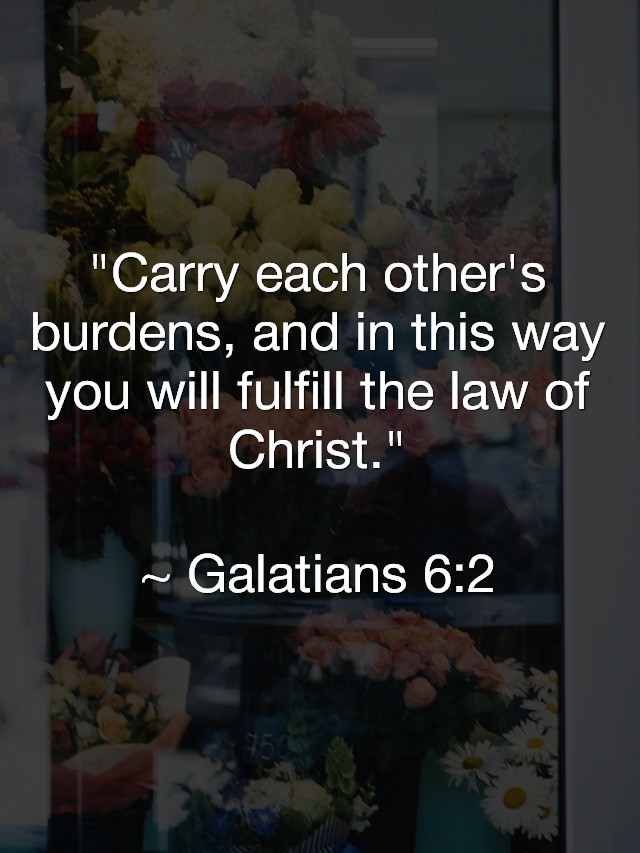 My brother-in-law is a 25-year-old heroin addict who has been struggling with opiate addiction for the past 7 years