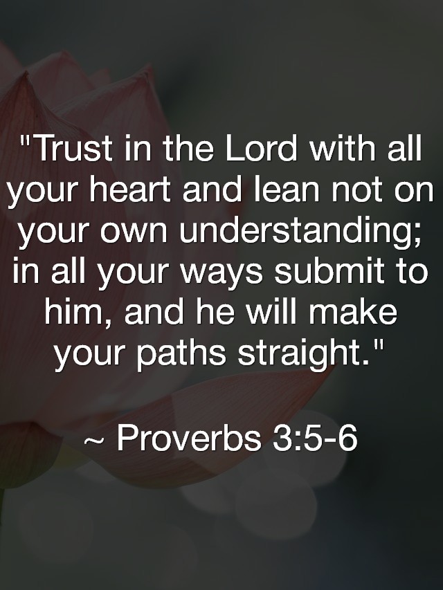 Six months ago, I separated and divorced my ex-wife